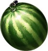 symbol watermelon